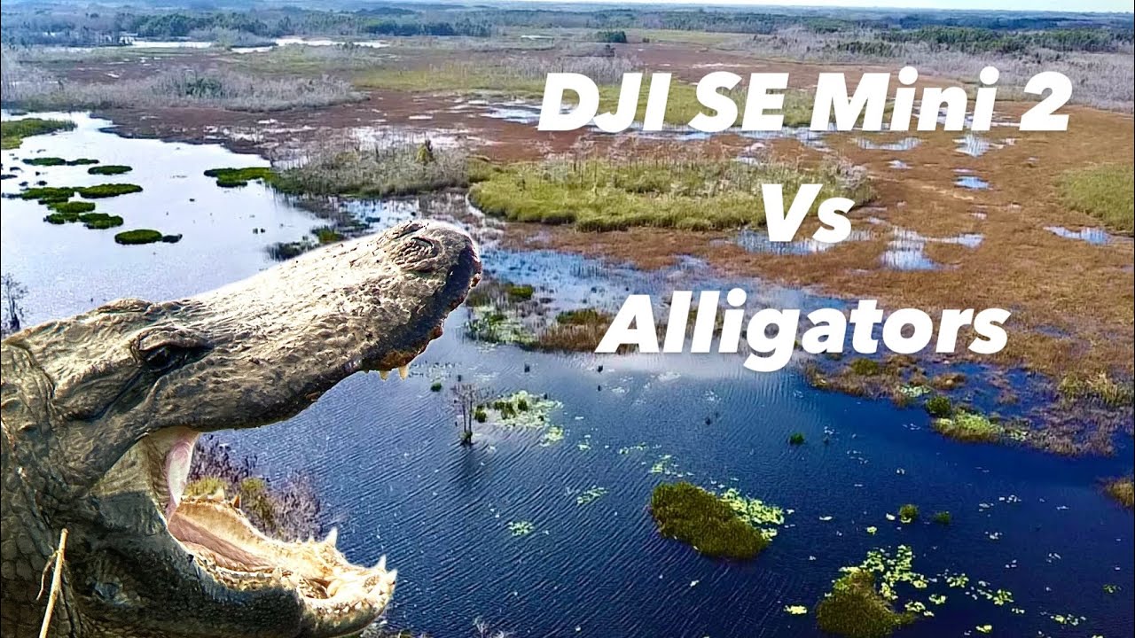 Epic Everglades Drone Footage Youtube