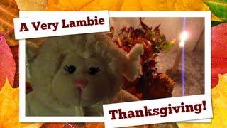 #234: A Very Lambie Thanksgiving! - LambCam