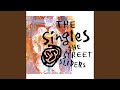 Chameleon (Extended English Version)