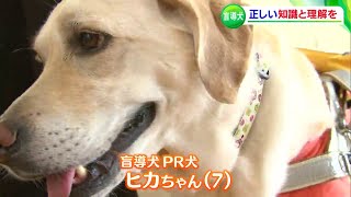 盲導犬の“ヒカちゃん”が講師　小学校で視覚障害や盲導犬への理解深める特別授業【岡山】