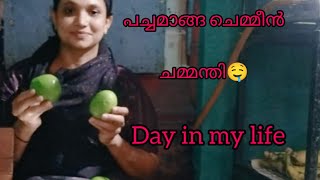 Day in my life  അമ്മിയിൽ അരച്ച ചമ്മന്തി...@#bismi vlog#@