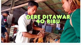 Update ayam di pasar hewan Purbalingga