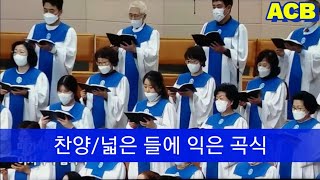 여의도순복음교회/추수감사절/헌금송/넓은 들에 익은 곡식/아시아기독교방송/[20221120]