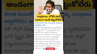 YS jagan comments on CM Chandrababu