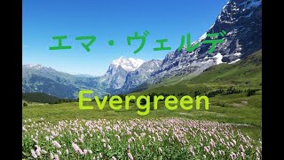 【エマ・ヴェルデ　バースデー企画】バイオリンでEvergreenを弾いてみた