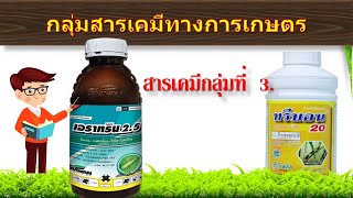 สารเคมีทางการเกษตร.....กลุ่มที่ 3 (สารน๊อคดาวน์ NockDown)