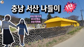 앗! 봄이야~~ 서산으로 놀러가자! 우리가 들려본 장소는 #유기방가옥 #서산목장 #사진명소 # 온석까페 #온석버거 / 잠깐씩 들렸지만 재밌었어요^^