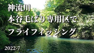 本谷毛ばり専用区(神流川)/夫婦でフライフィッシング/flyfishing/2022-7