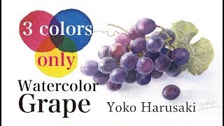 3 color only watercolor【Grape】春崎陽子　水彩画　３色で描く水彩画　watercolor painting