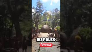 Tradisi Sakral Dan Aneh Di Pedalaman Papua