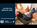 Avian Flu Update 2023