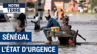 Au Sénégal, des vies brisées par le réchauffement climatique - "Notre monde est un désastre"  - Amp