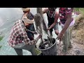 fish farming in telugu koramenu fish cultivation system murrel fish farm desi murrel sagu nestham