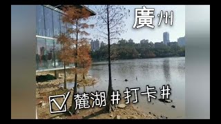 《阿TA的新生活》第四十六集：#麓湖公園＃廣州