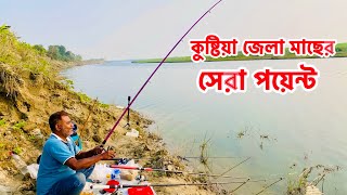 কুষ্টিয়া জেলার সেরা পয়েন্ট এ এখন কেমন মাছ হচ্ছে ।