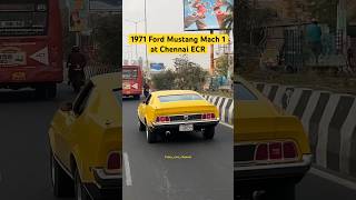 1971 Mustang at Chennai #mustang #fordmustang #musclecars #trendingshorts #chennai #cars #vijay