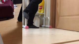 猫と一緒に月間チャレンジ【239日目】バーピー\u0026ぶら下がり