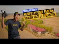 Homestay Unik Tengah Sawah Padi di Selangor!