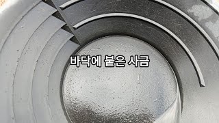 이런곳에 사금이(순천 동천)