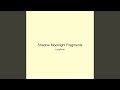 Shadow Moonlight Fragments
