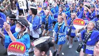 子供1000人阿波踊り  第49回 神楽坂まつり阿波踊り大会