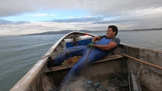 阿阳出海遇到剧毒海洋生物，眼睛碰到直接瞎掉，遇到了千万要小心