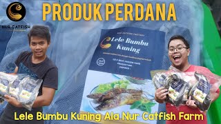 Produk Perdana, Lele Bumbu Kuning Nur Catfish Farm Indonesia