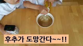 [과학실험] 초간단 3분실험~~!! 후추랑 세제로 표면장력 실험 해봐요~!Suface tension experiment~!세미의 실험실 semi's lab -kids science