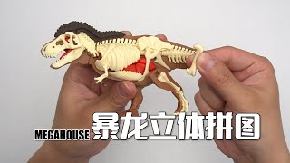 暴龙脑袋上原来有毛！MEGAHOUSE 暴龙立体拼图 开箱试玩