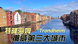 挪威第三大城市特隆海姆（Trondheim ），看到了哪些中国品牌？