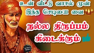 உன் வீட்டு வாசல் முன் இந்த செடியை வை👍நல்ல திருப்பம் கிடைக்கும்🎉💯👍🙏OM SAI RAM🙏