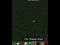 I made a Indian flag in Minecraft#meme#minecraft #minecraftshorts#games#gaming#shorts