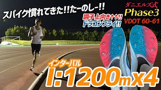 【ポイント練習】5000mの練習!!あと10日!!スパイクで走れんのか?!100点満点のインターバル。