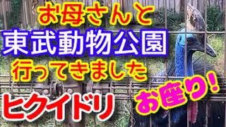 いちごトレーラーで お母さんと 東武動物公園 行ってきました ヒクイドリ が至近距離でお座りしました！ お母さん 60年ぶりの動物園 !? ホワイトタイガー