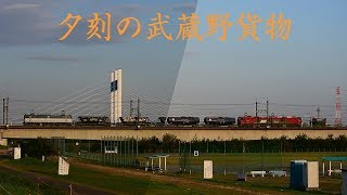 夕刻の武蔵野貨物線　2018.10.25