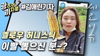 [세로이슈] 이 옥수수 먹어도 되나요..?