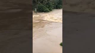 #rain #flood #nagercoil #kanyakumari #staysafestayhome #pray