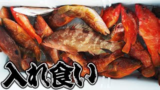 釣れすぎ注意‼️高級魚連発でクーラーパンパン‼️