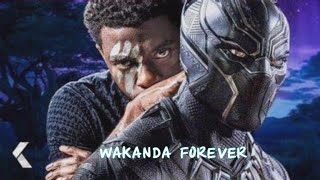 Tribute Chadwick Boseman | Wakanda Forever Official Trailer | Wakanda Forever Edit | Black Panther 2