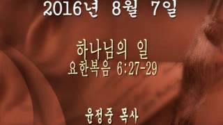 2016년 8월 7일