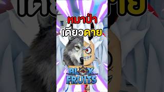 หมาป่าเดียวดายในเกม Bloxfruits #roblox #bloxfruit #bloxfruits #mongu #บล็อกฟุต #บล็อคฟุต #โรบอก