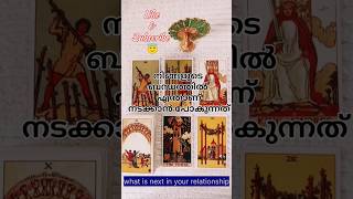 നിങ്ങളുടെ ബന്ധത്തിൽ ഇനി സംഭവിക്കുന്നത്🥰🧿💝#relationshipreading #currentfeelings#lovetarot#malayalam