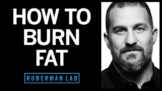 How to Lose Fat with Science-Based Tools