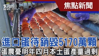 進口蛋超量 待銷毀5170萬顆 蛋農憂明年四月本土蛋將產量過剩｜TVBS新聞@TVBSNEWS01