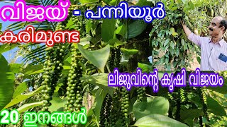 വിജയുപ്പടെ 20 ഇനം കുരുമുളക്#antony muniyara Vlogs