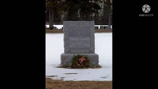 Boxer And Their Grave