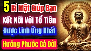 5 Bí Mật Kết Nối Với Tổ Tiên Để Được Linh Ứng. Giúp Bạn Được Phù Hộ Mạnh Mẽ Nhất, Hưởng Phước Cả Đời