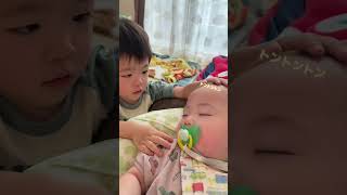 自分も眠いのに弟を寝かしつけてくれてる🥲 #男の子兄弟 #兄弟愛 #年子兄弟 #子供のいる暮らし #癒し動画 #寝かしつけ #ありがとう