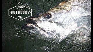 Fly Fishing Tarpon in Costa Rica \