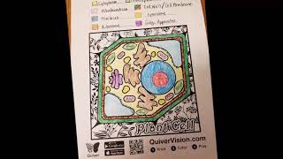 Cells Extension Activity for Web Quest